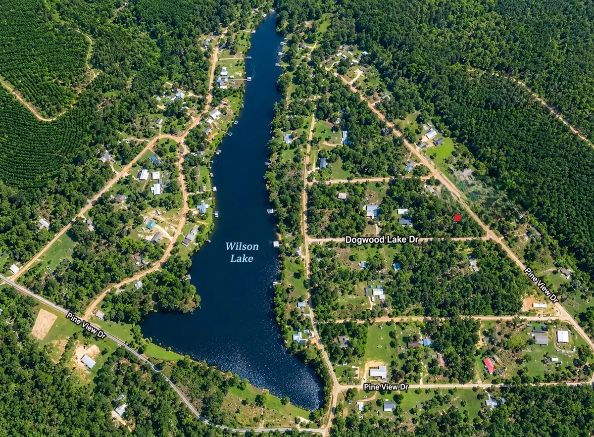 00 Dogwood Lake Drive, Livingston, TX 77351 - #1