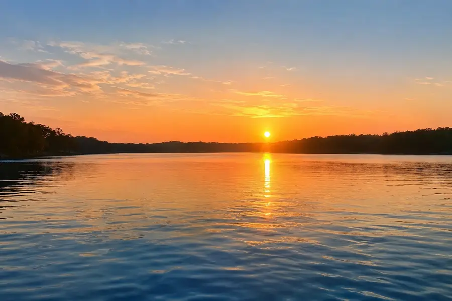 00 Dogwood Lake Drive, Livingston, TX 77351 - #3