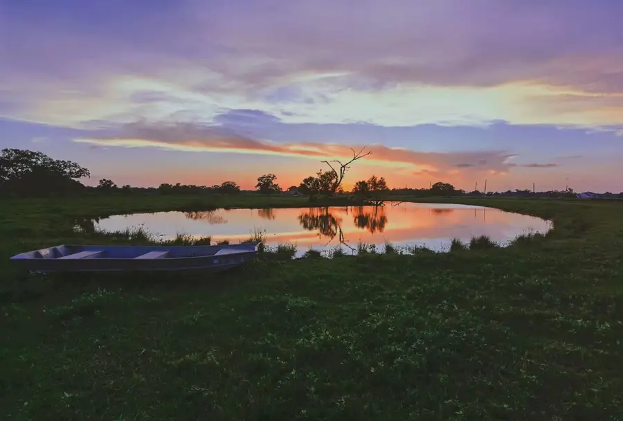 16419 Majestic Oaks Drive, Rosharon, TX 77583 - Image #2