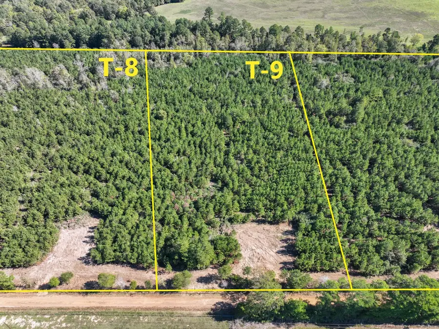 4 County Road 3121, Long Branch, TX 75669 - #2