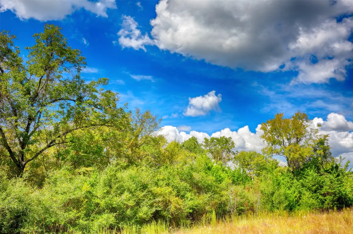 TBD Windy Oaks, Huntsville, TX 77320 - Image #1