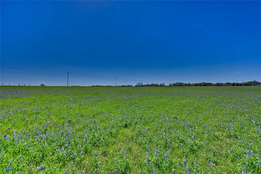 TBD Fm 2, Navasota, TX 77868 - #3