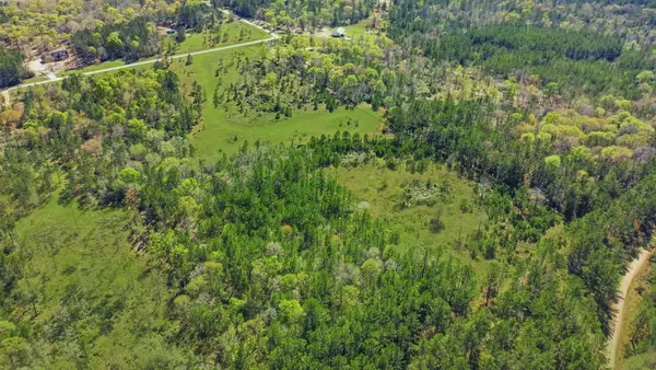 401 Big Buck Drive, Cleveland, TX 77328