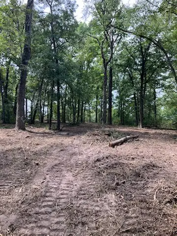 400 Pine Forest Acres, Trinity, TX 75862 - #3