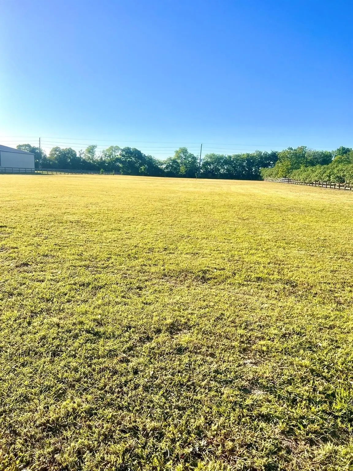 13702 Lakeview Meadow Drive, Richmond, TX 77469 - #1