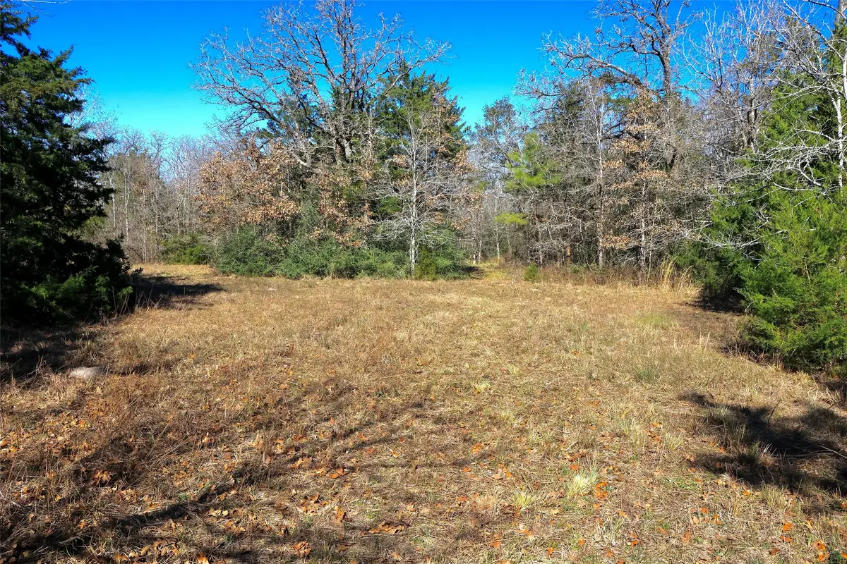 5.002 Acres Winding Meadow Drive, Bedias, TX 77831 - Image #1