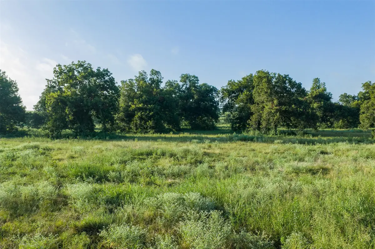 TBD Lcr 721, Kosse, TX 76653 - #1