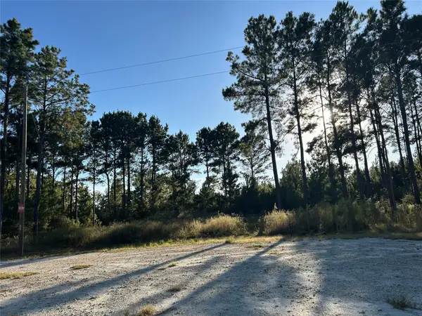 Tract 12 Fm 230, Lovelady, TX 77854