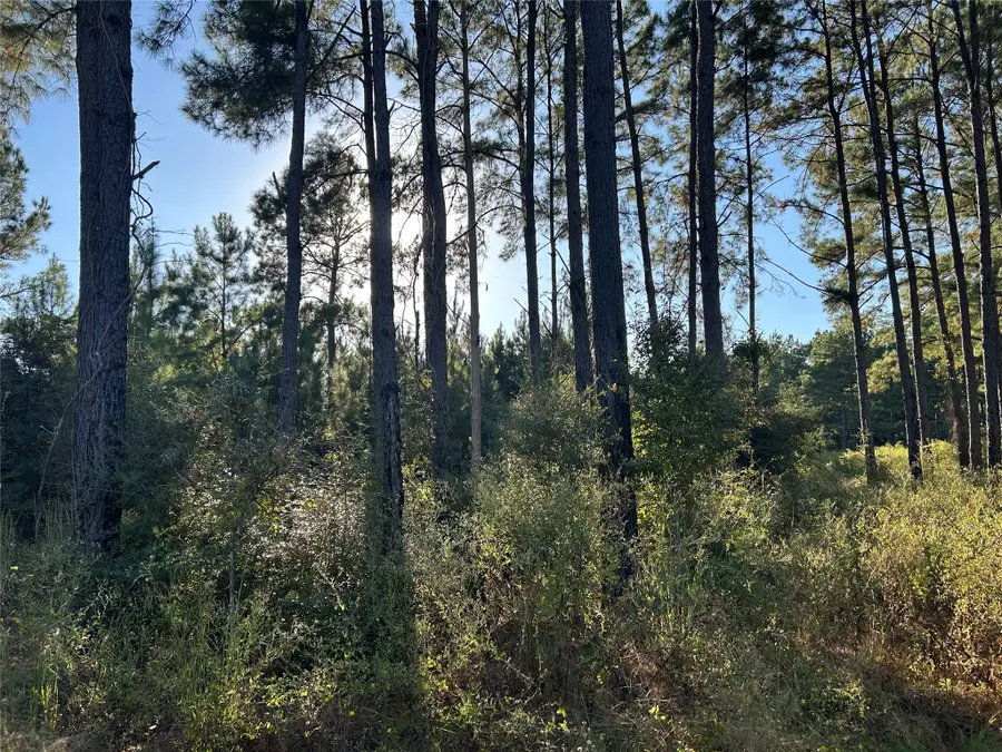 Tract 12 Fm 230, Lovelady, TX 77854 - #3
