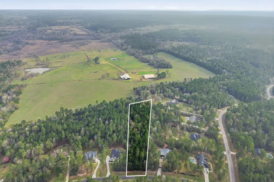 1-6-29 Dedication Trail, Huntsville, TX 77340 - #2