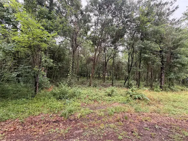 5265 Pecan Tree Lane, Montgomery, TX 77316