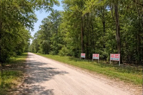 00 Bayou Drive, Alvin, TX 77511