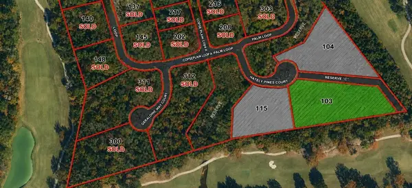103 Chateau Pines Court, Montgomery, TX 77316