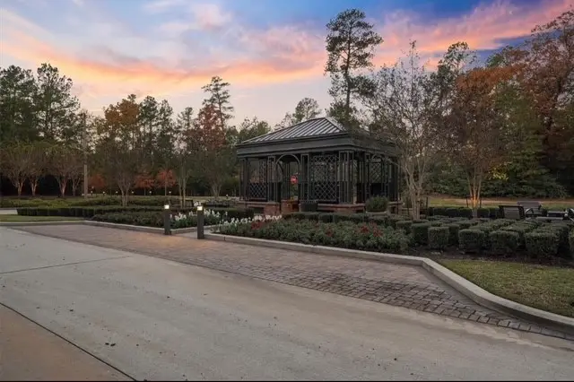 103 Chateau Pines Court, Montgomery, TX 77316 - #3