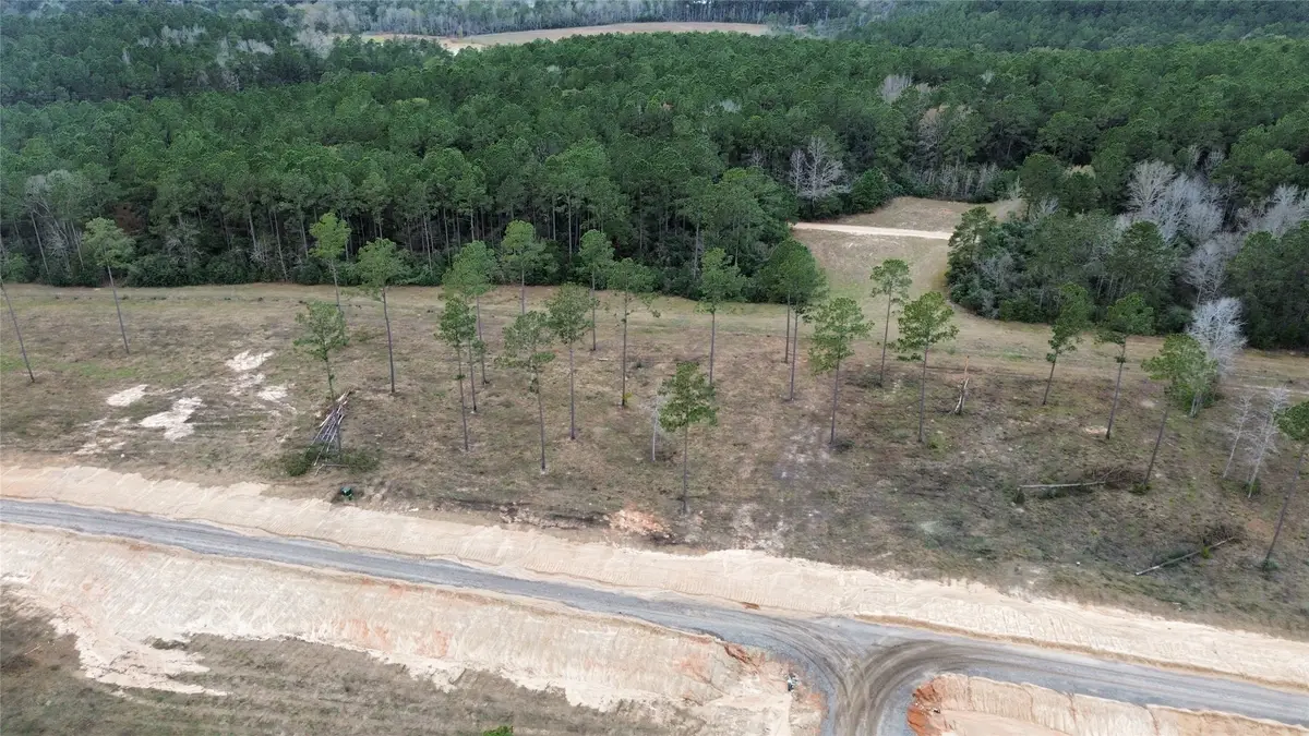 0 Anna Grace, Livingston, TX 77351 - #1