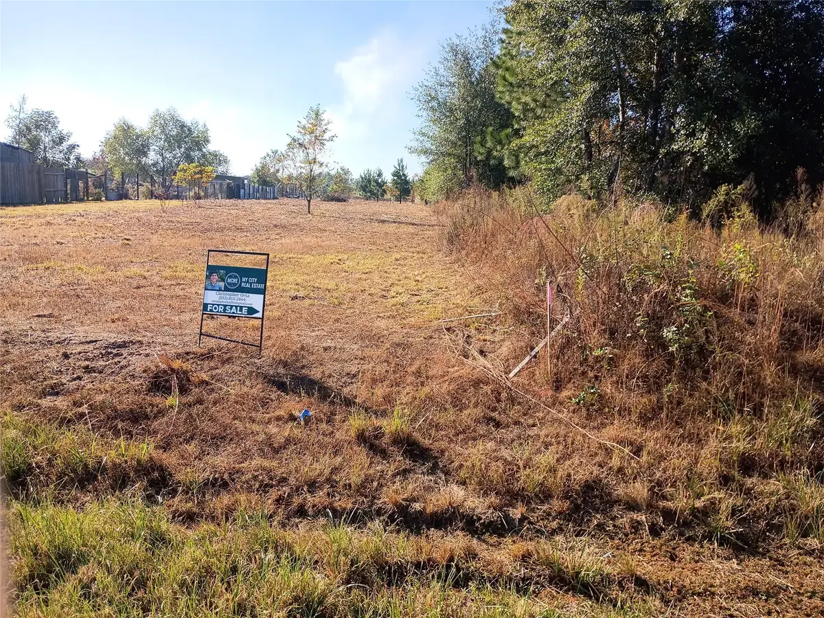 1264 County Road 3560, Cleveland, TX 77327 - Image #1