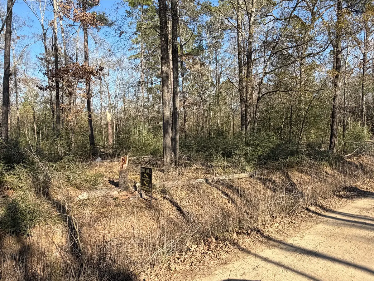 TBD Wild Bird Lane, Livingston, TX 77351 - #1