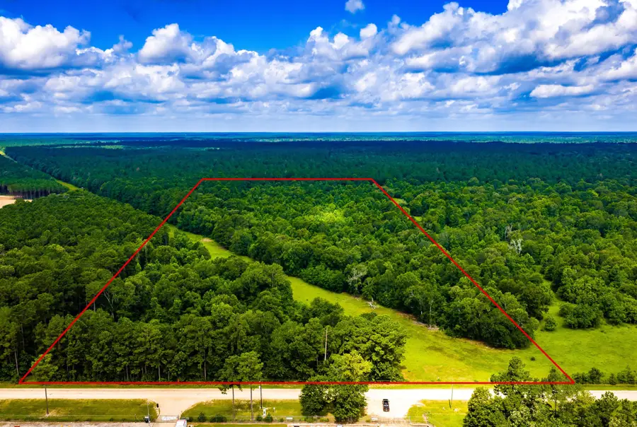 TRACT 11 Pelican Road, Shepherd, TX 77371 - #2