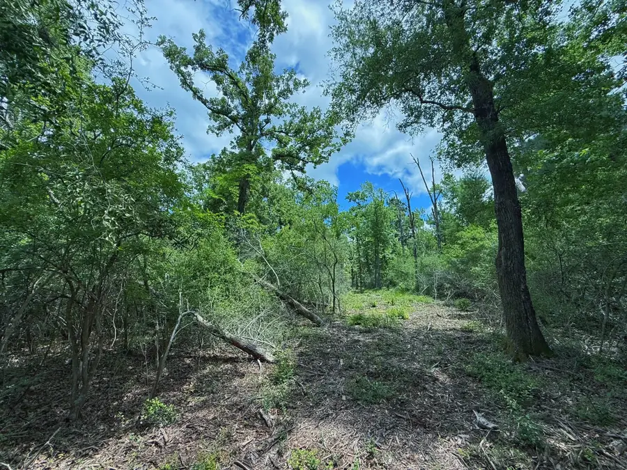 TBD Cr 295, Oakwood, TX 75855 - #2