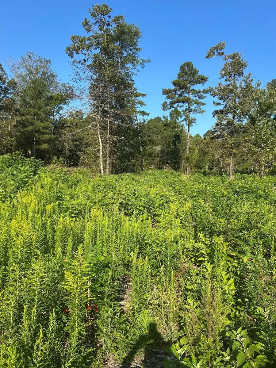 3730 Deer Road, Gilmer, TX 75644 - Image #3