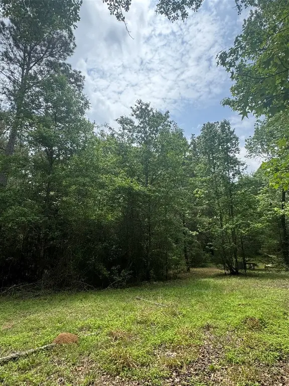 TBD Possum Walk Lane, Huntsville, TX 77358 - #1