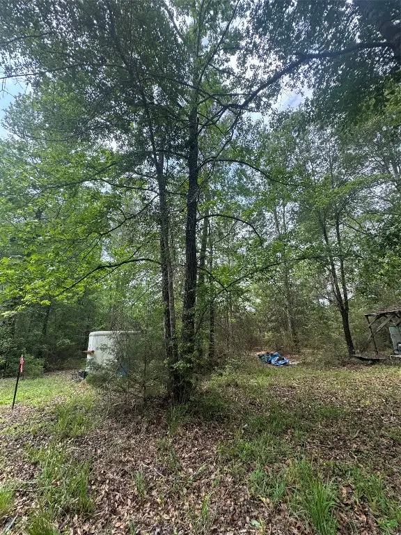 TBD Possum Walk Lane, Huntsville, TX 77358 - #2