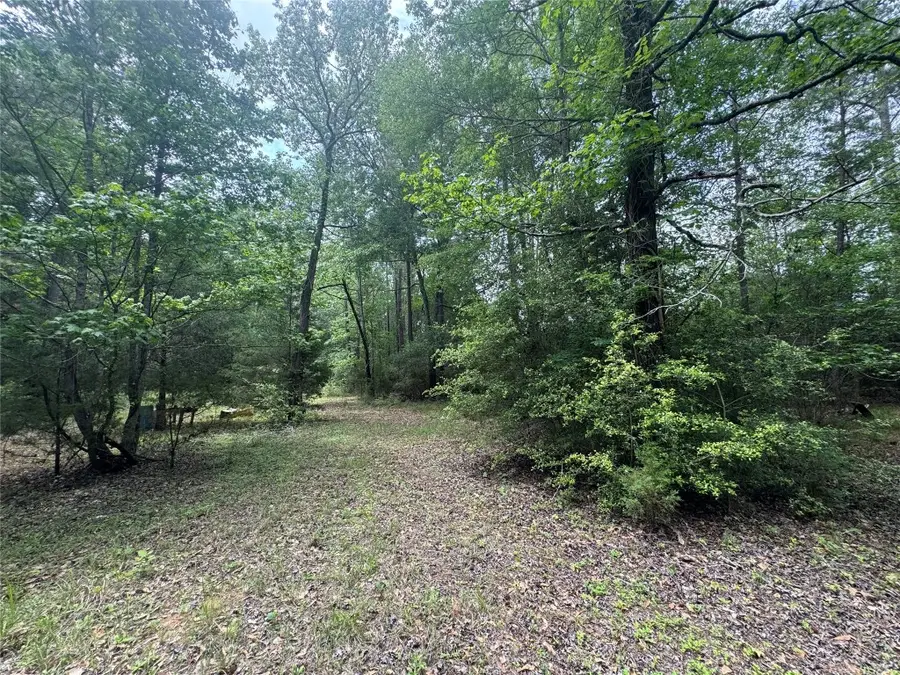 TBD Possum Walk Lane, Huntsville, TX 77358 - #3