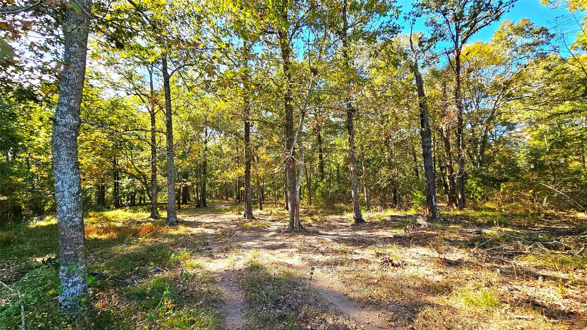 TBD Mt Zion Road S, New Waverly, TX 77358 - Image #1