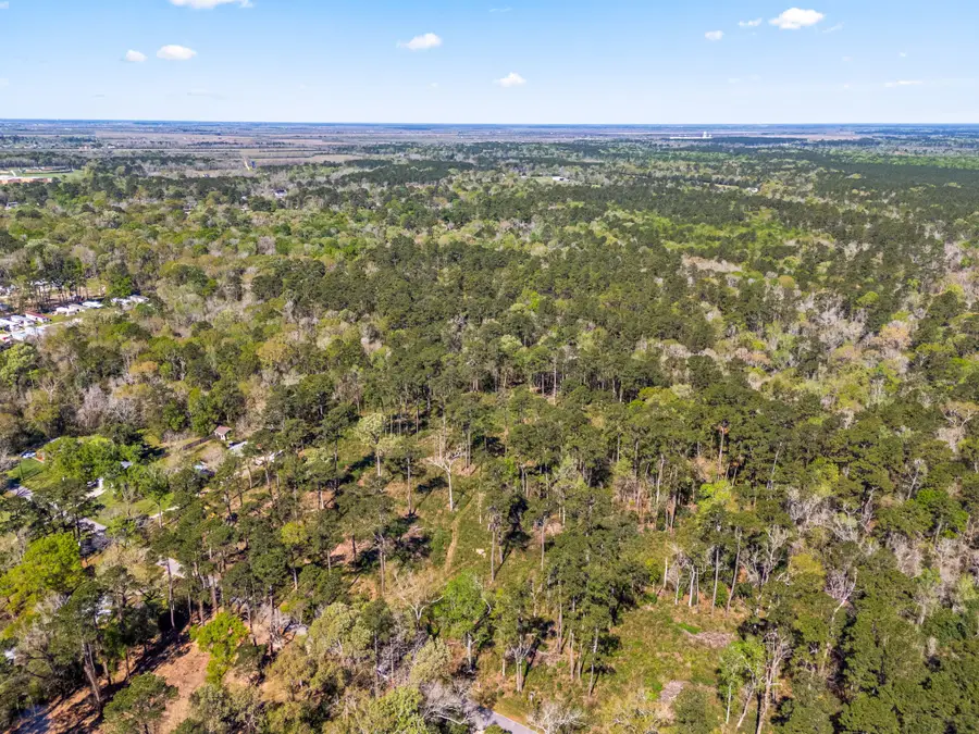 0 Jamison Street, Dayton, TX 77535 - #3