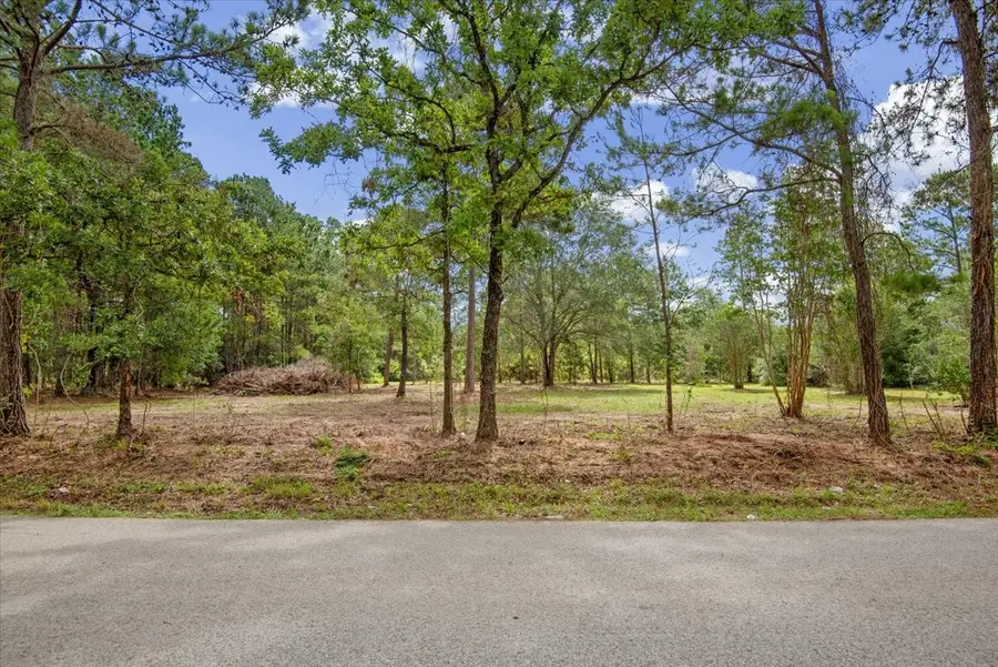 TBD Lot 5 County Road 302, Plantersville, TX 77363 - #3