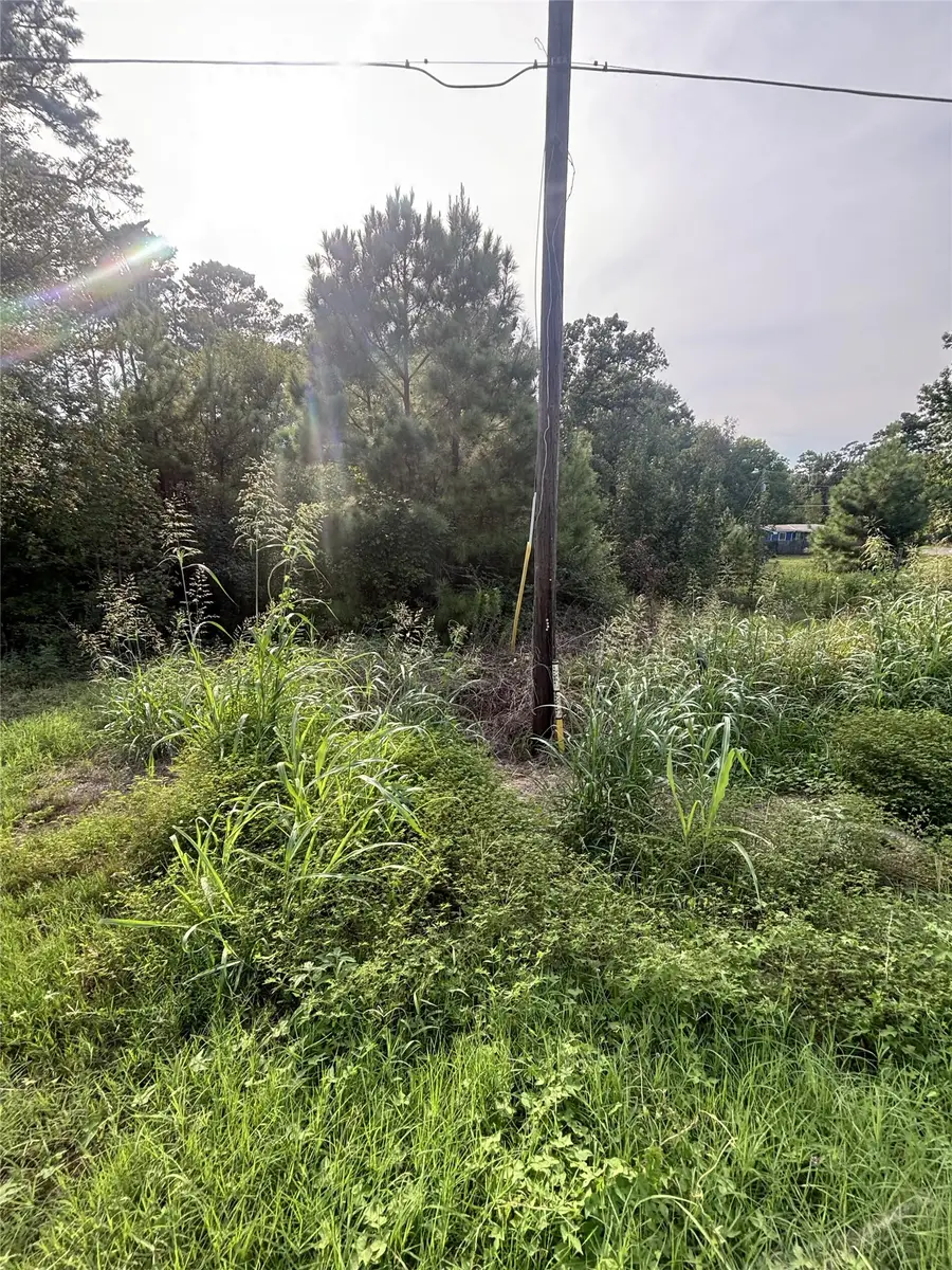0 Fm-356, Onalaska, TX 77360 - #3