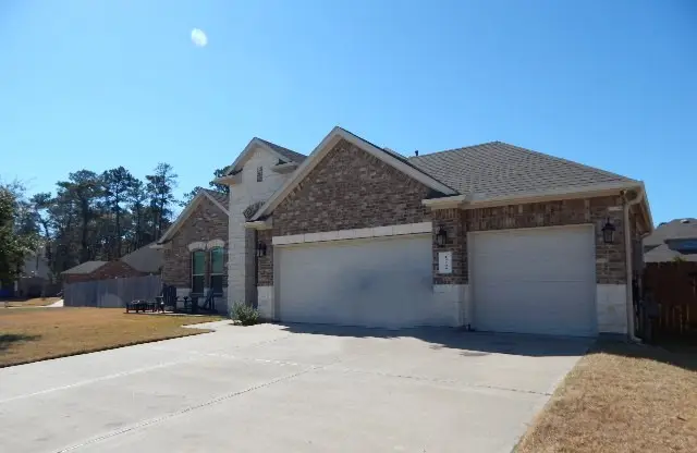 14209 Castolon Court, Conroe, TX 77384 - #3