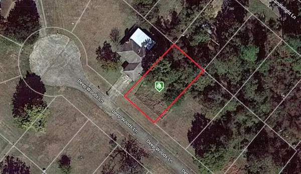 245 Deep Woods Lane, Livingston, TX 77351