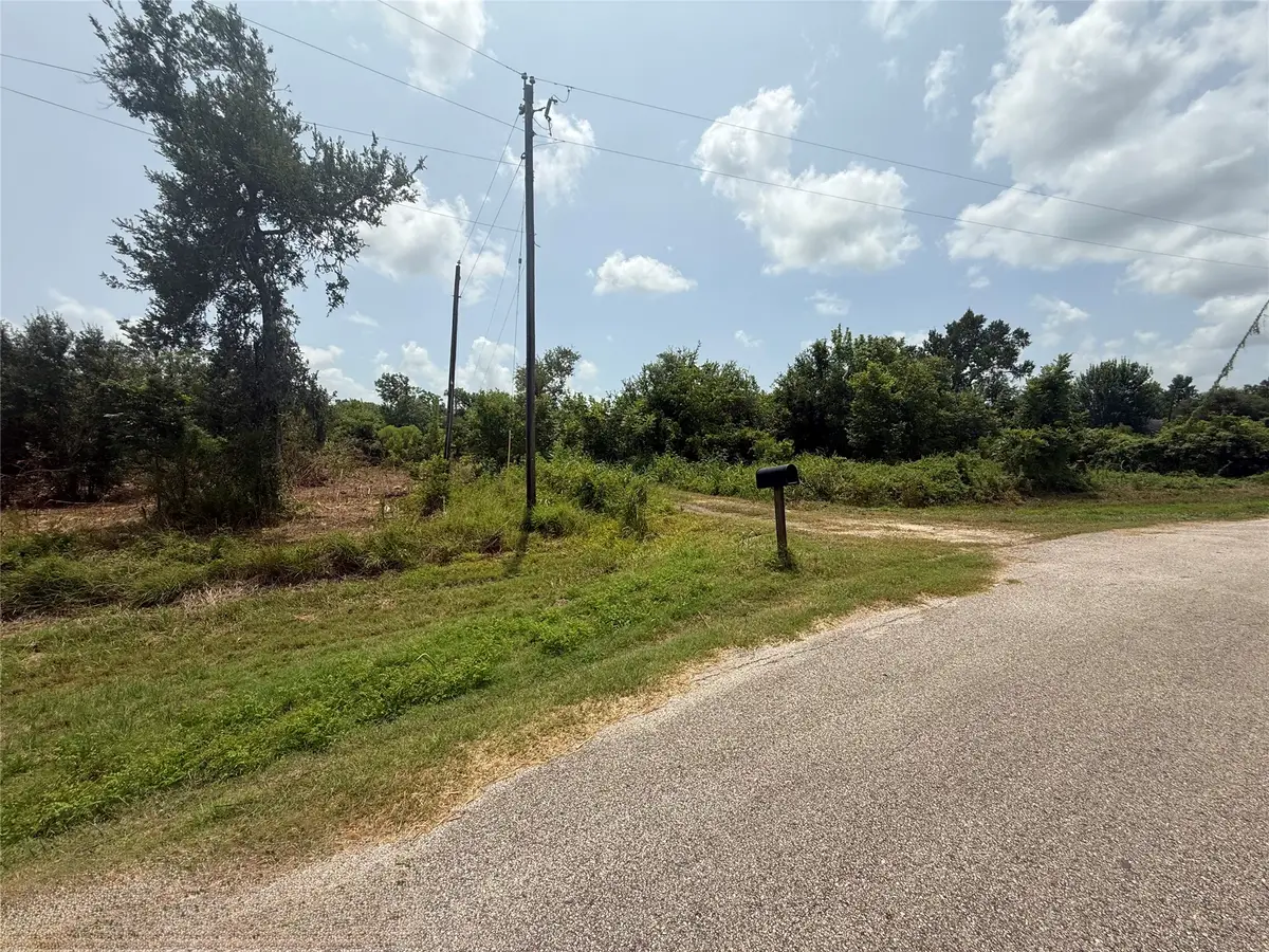 4337 County Road 659a, Brazoria, TX 77422 - #1
