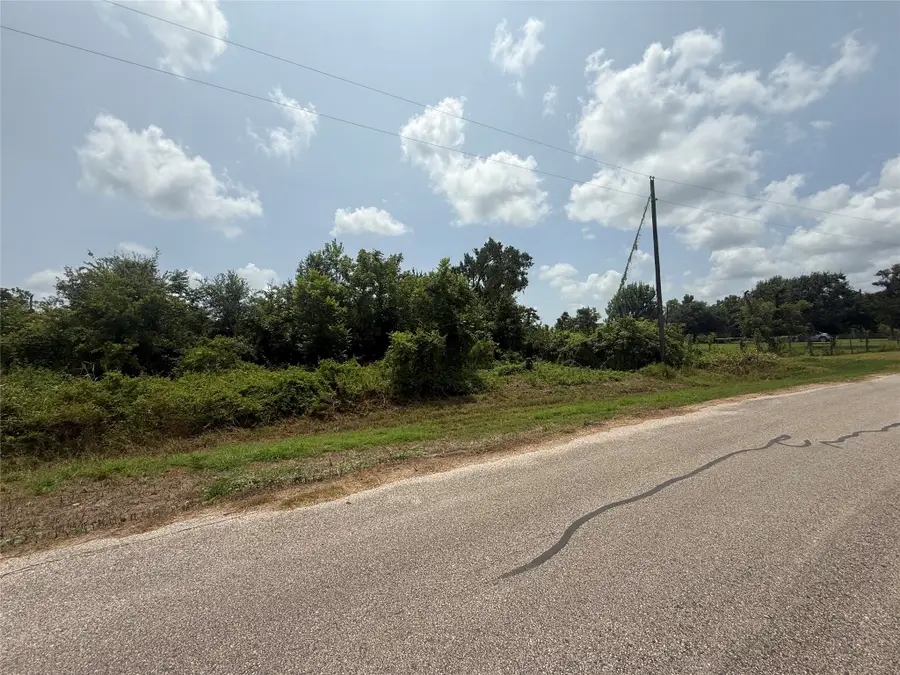 4337 County Road 659a, Brazoria, TX 77422 - #2