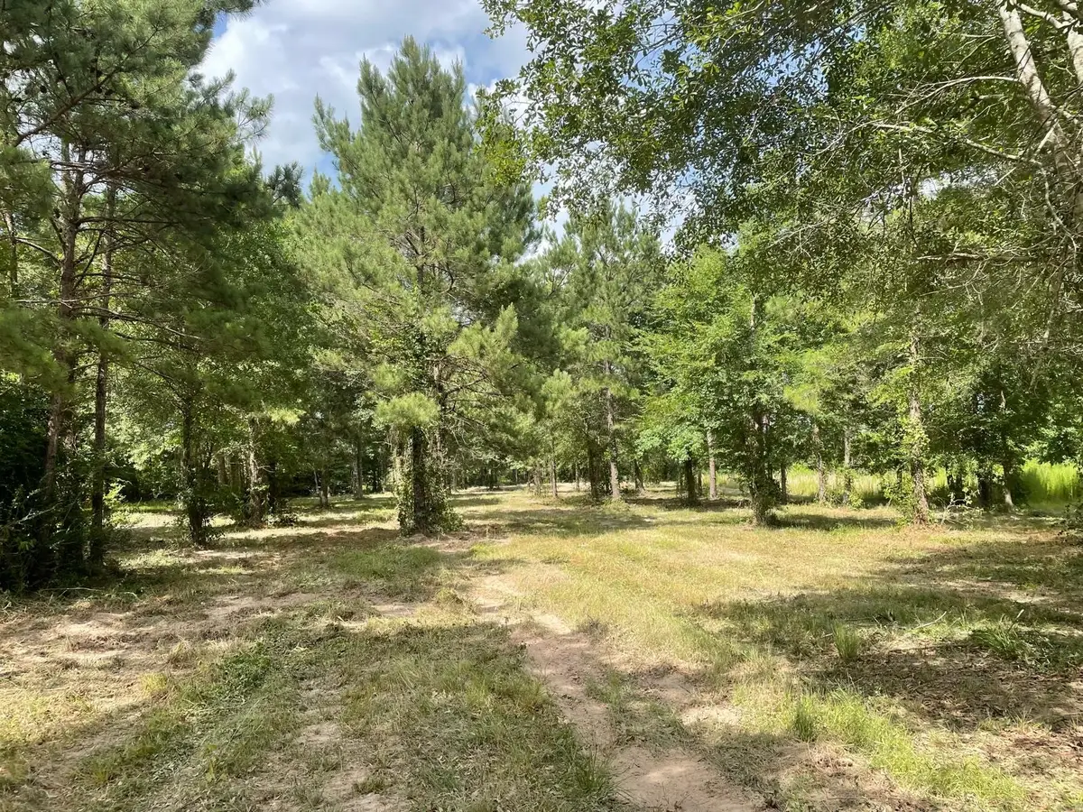 502 County Road 3408, Cleveland, TX 77327 - #1