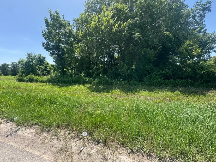 TBD E Us Highway 59 Feeder, Hungerford, TX 77448 - #2