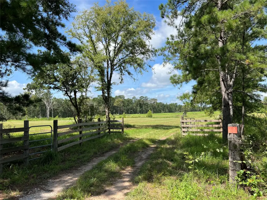 18288 Fm 1774, Plantersville, TX 77363 - #1