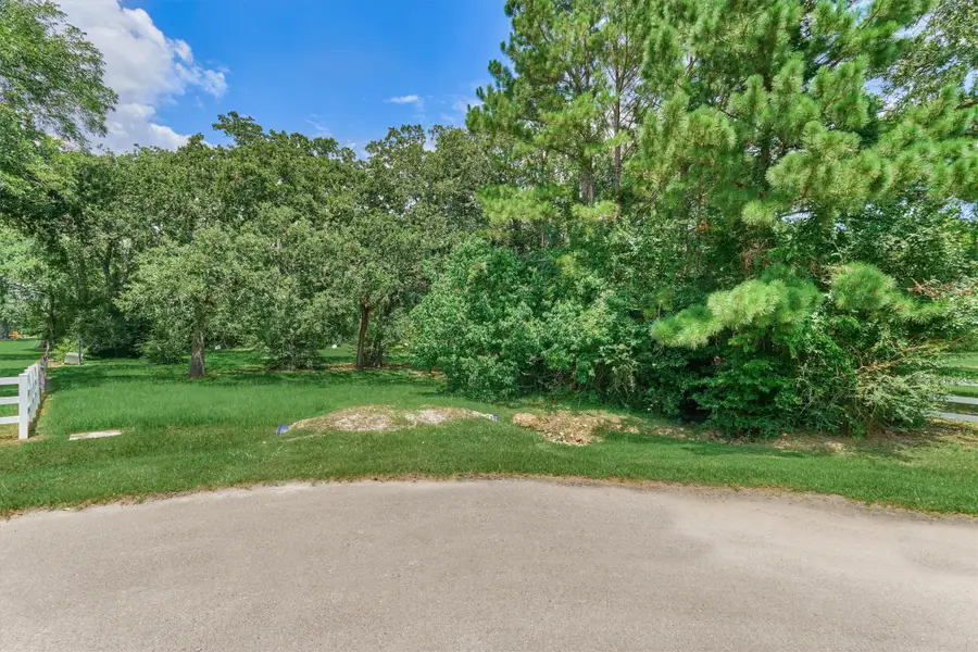 32214 Mink Creek Court, Magnolia, TX 77355 - #2