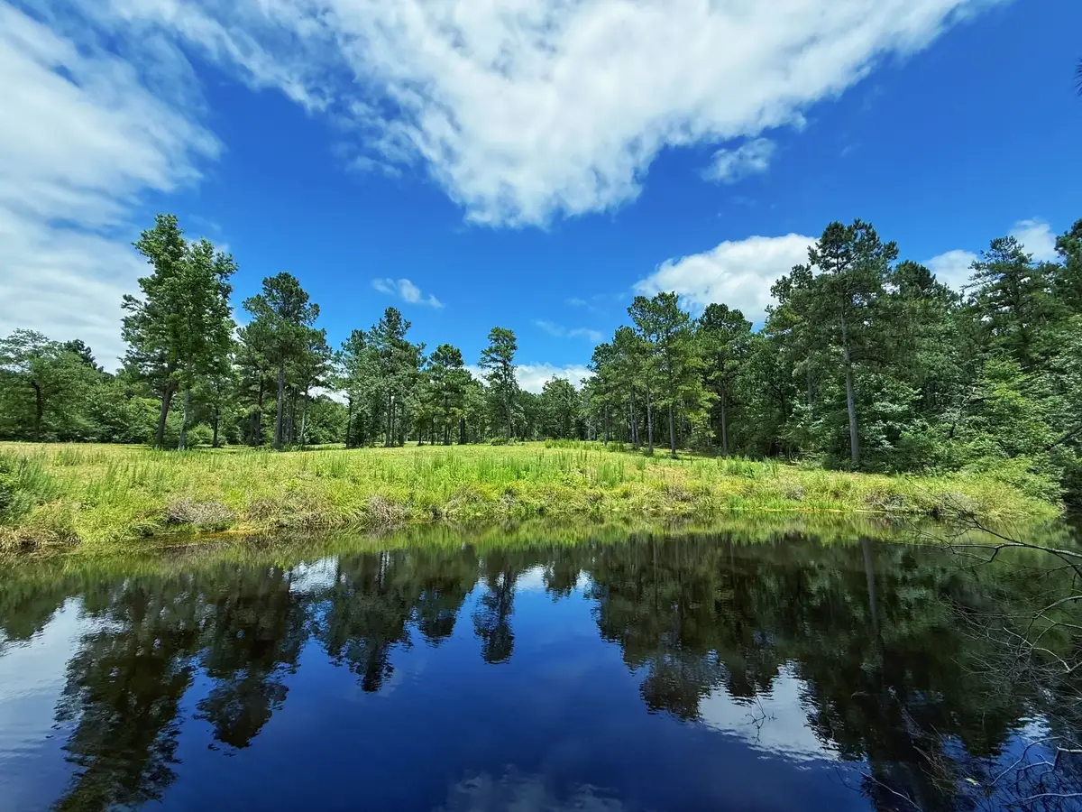 TBD Cr 298, Oakwood, TX 75855 - #1