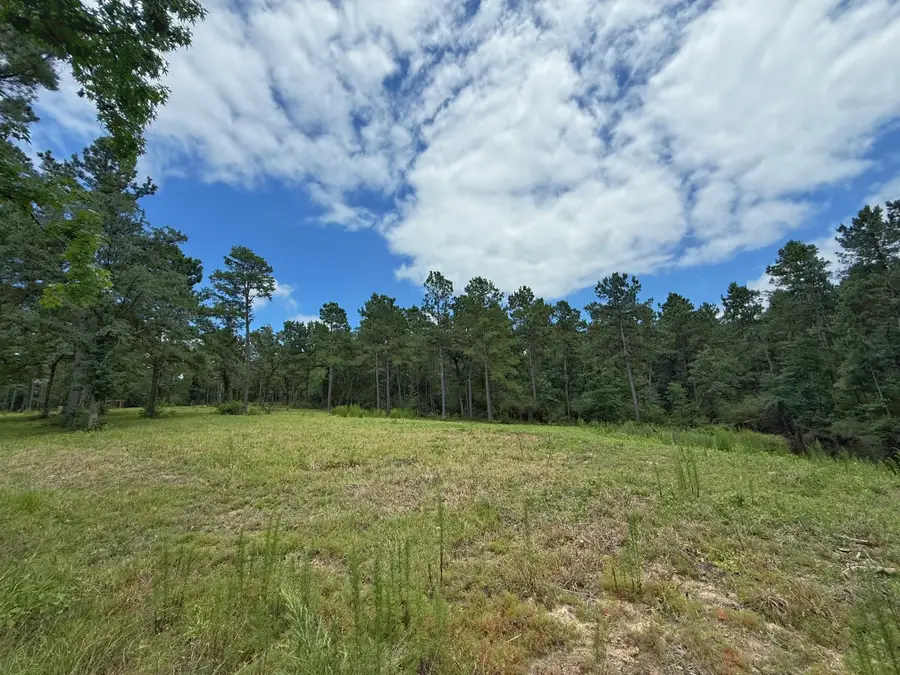 TBD Cr 298, Oakwood, TX 75855 - #2