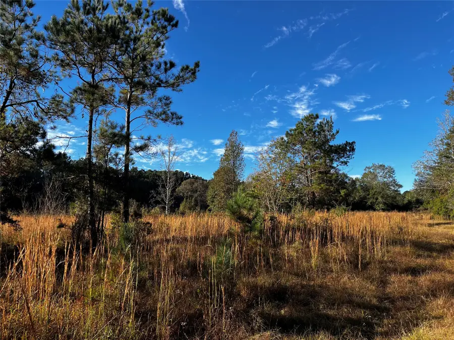 231 County Road 2190, Cleveland, TX 77327 - Image #2