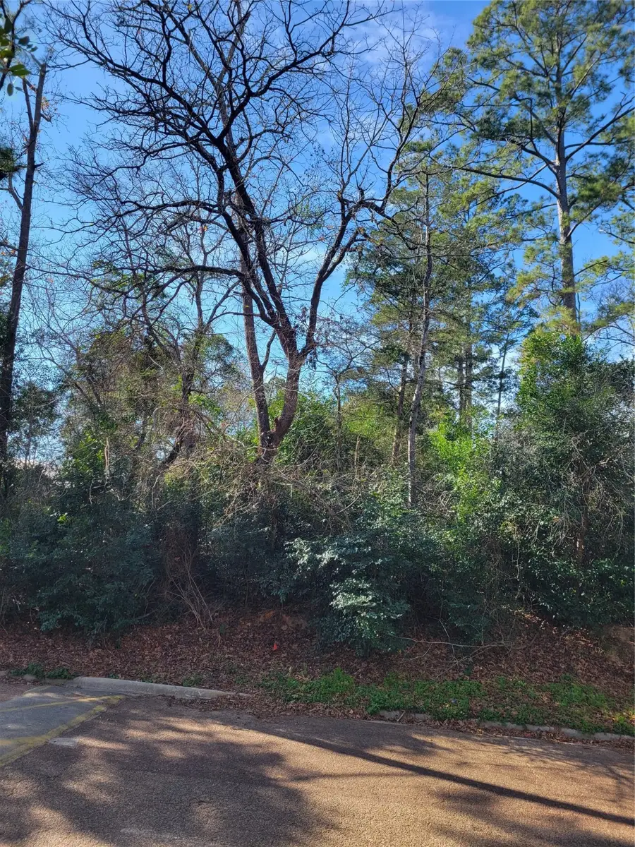 Lot 13-12149 Goliad, Willis, TX 77378 - #3