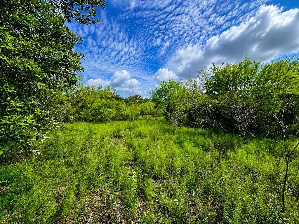 TBD Water Oak Road, Columbus, TX 78934 - #1