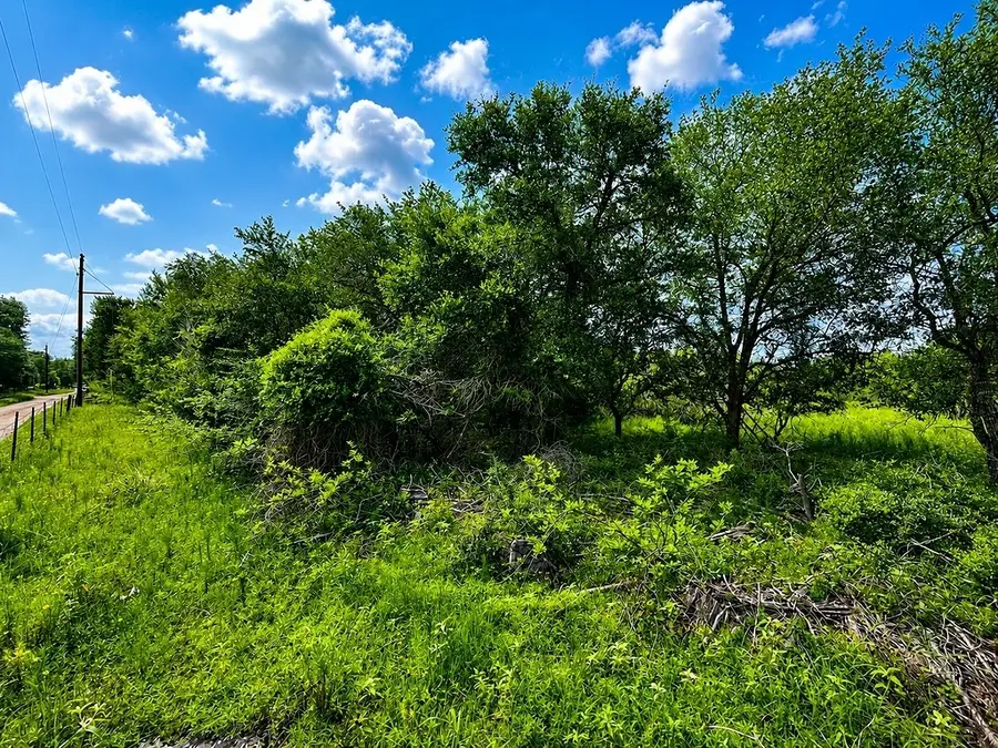 TBD Water Oak Road, Columbus, TX 78934 - #2
