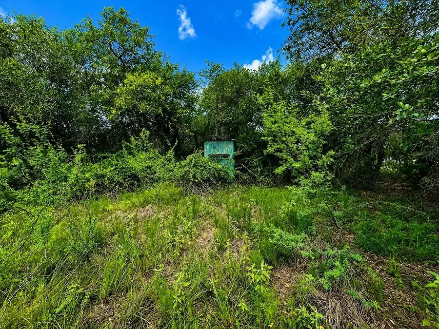 TBD Water Oak Road, Columbus, TX 78934 - #3