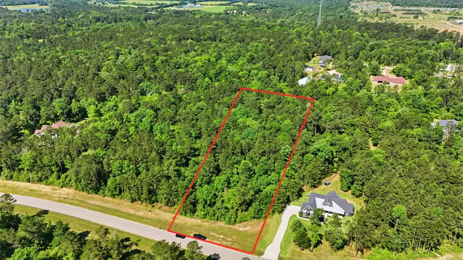 15779 Republic Ranch Road N, Willis, TX 77378 - #3