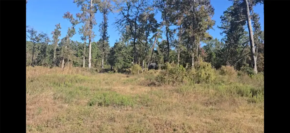 TBD Gaff Road, Magnolia, TX 77355 - #1