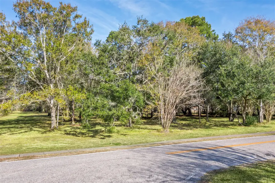 Lot 5B Ryan Drive, Alvin, TX 77511 - #3