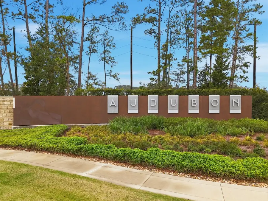 15115 Bank Swallow Place, Magnolia, TX 77354 - #3